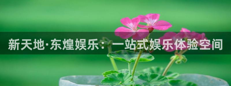 安信12：新天地·东煌娱乐：一站式娱乐体验空间