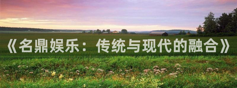 安信12登录入口最新版本更新内容：《名鼎娱乐：传统与现代的融合》