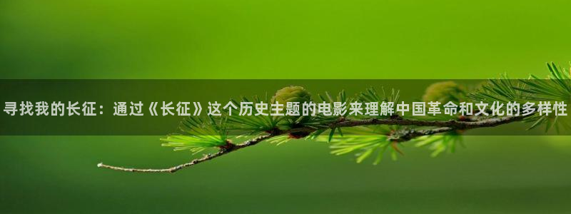 安信12登录入口官网：寻找我的长征：通过《长征》这个历史主题的电影来理解中国革命和文化的多样性