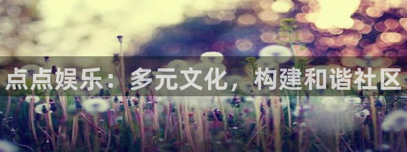 安信12最新版本更新内容：点点娱乐：多元文化，构建和谐社区