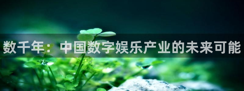 安信12登录地址：数千年：中国数字娱乐产业的未来可能