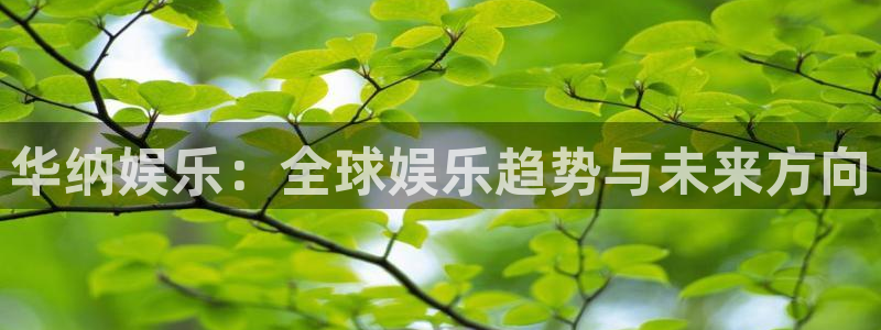 安信12登陆：华纳娱乐：全球娱乐趋势与未来方向