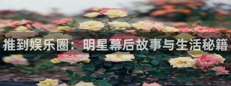 安信娱乐：推到娱乐圈：明星幕后故事与生活秘籍