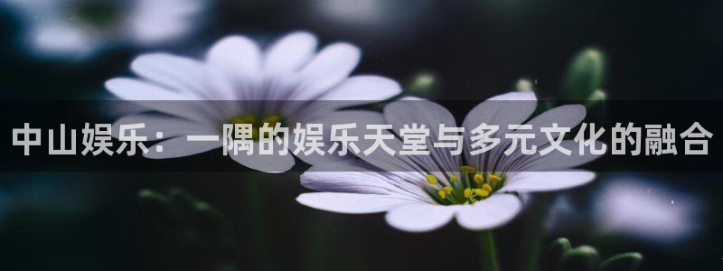 安信12最新版本更新内容：中山娱乐：一隅的娱乐天堂与多元文化的融合