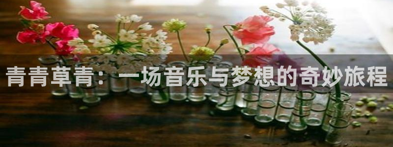 安信12登陆