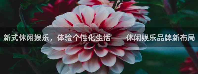 安信12平台登录注册：新式休闲娱乐，体验个性化生活——休闲娱乐品牌新布局