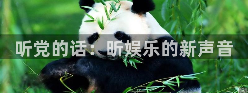 安信12登陆：听党的话：昕娱乐的新声音