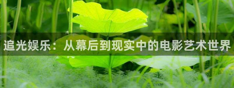 安信12平台：追光娱乐：从幕后到现实中的电影艺术世界